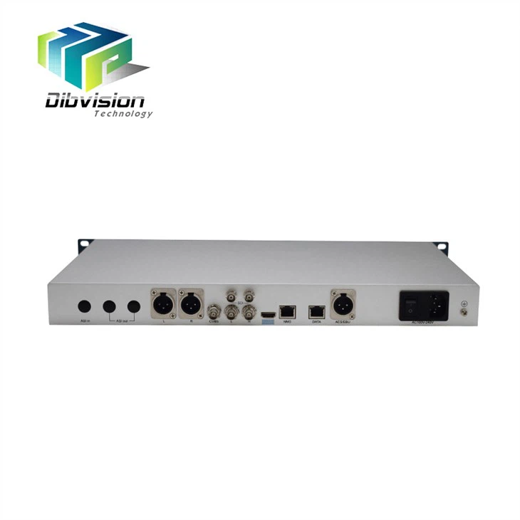 IP ASI To HDMI SDI HEVC H.264 Decoder